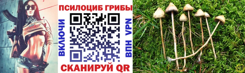 Галлюциногенные грибы ЛСД  Электрогорск 