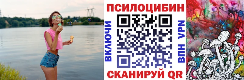 Галлюциногенные грибы Psilocybe Электрогорск