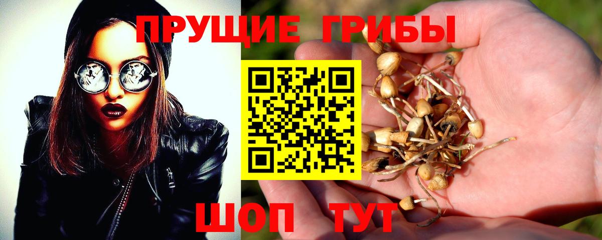 Галлюциногенные грибы мицелий  как найти   Электрогорск  Вход с VPN 