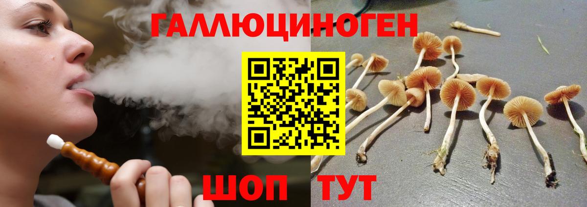 Галлюциногенные грибы прущие грибы Электрогорск